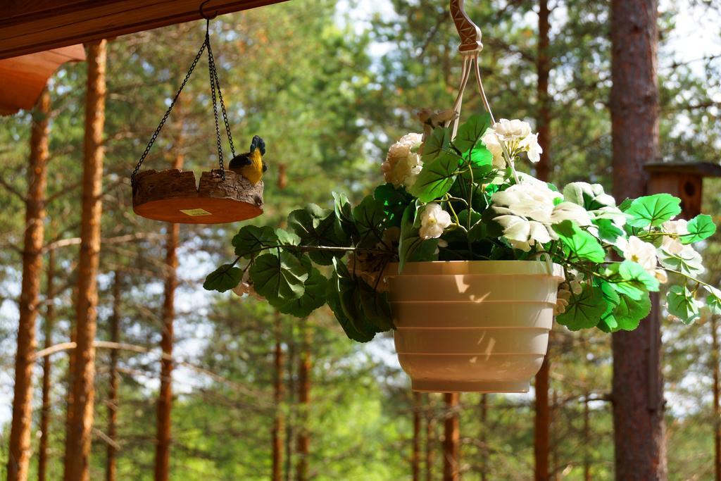 Kettu Holl Cottage Taipalsaari Esterno foto