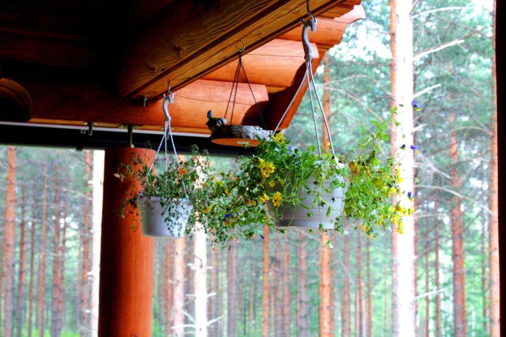 Kettu Holl Cottage Taipalsaari Esterno foto
