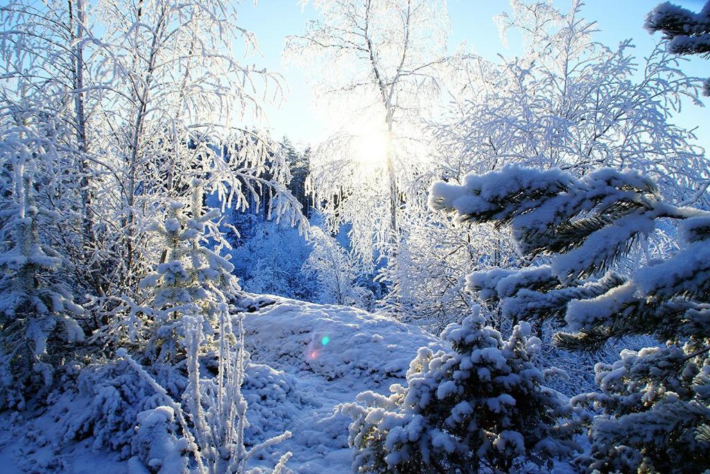 Kettu Holl Cottage Taipalsaari Esterno foto